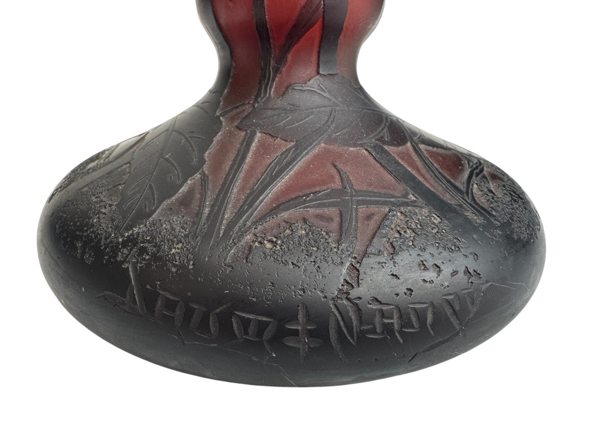 Daum Nancy - Tobacco Flowers Vase-photo-2