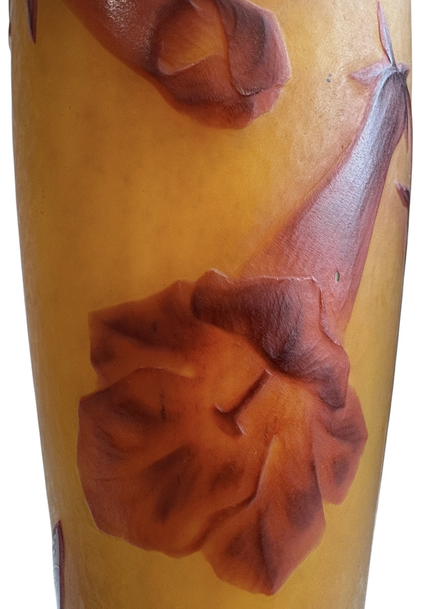 Daum Nancy - Tobacco Flowers Vase-photo-6