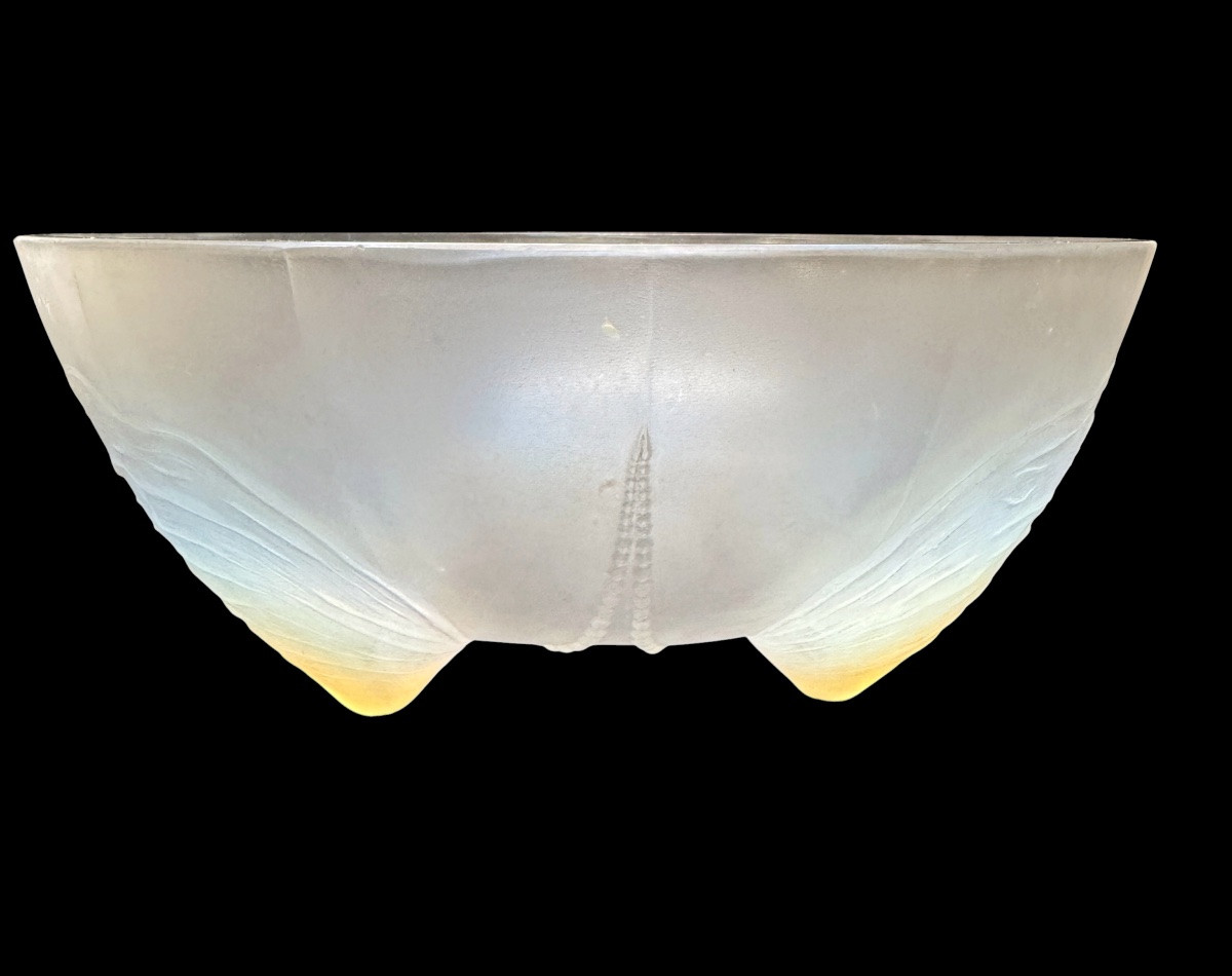 Sabino - Cup “ Shells And Pearls“-photo-2