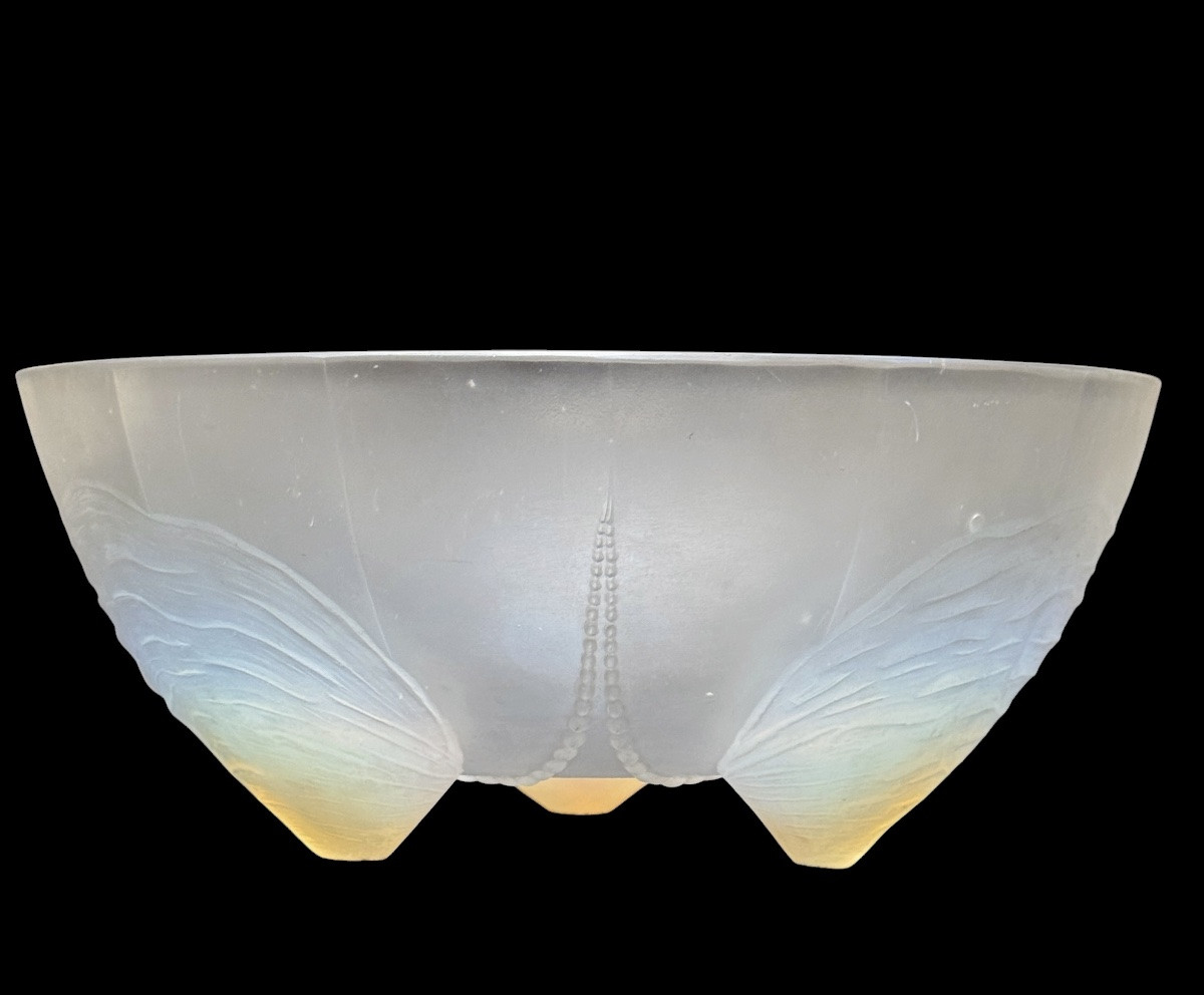 Sabino - Cup “ Shells And Pearls“-photo-3