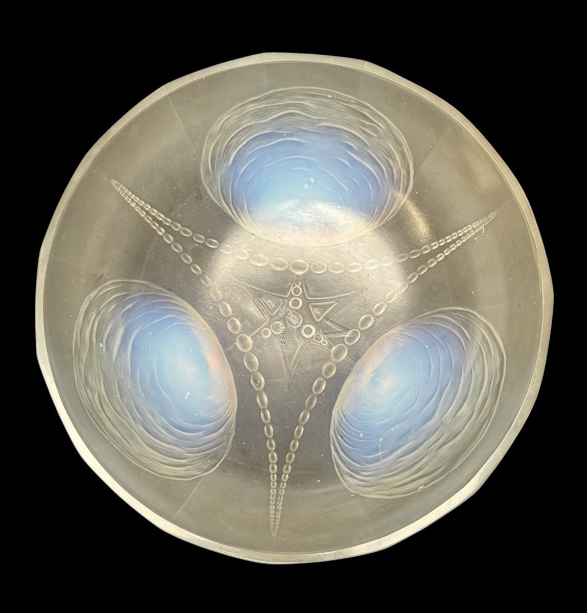 Sabino - Cup “ Shells And Pearls“-photo-4