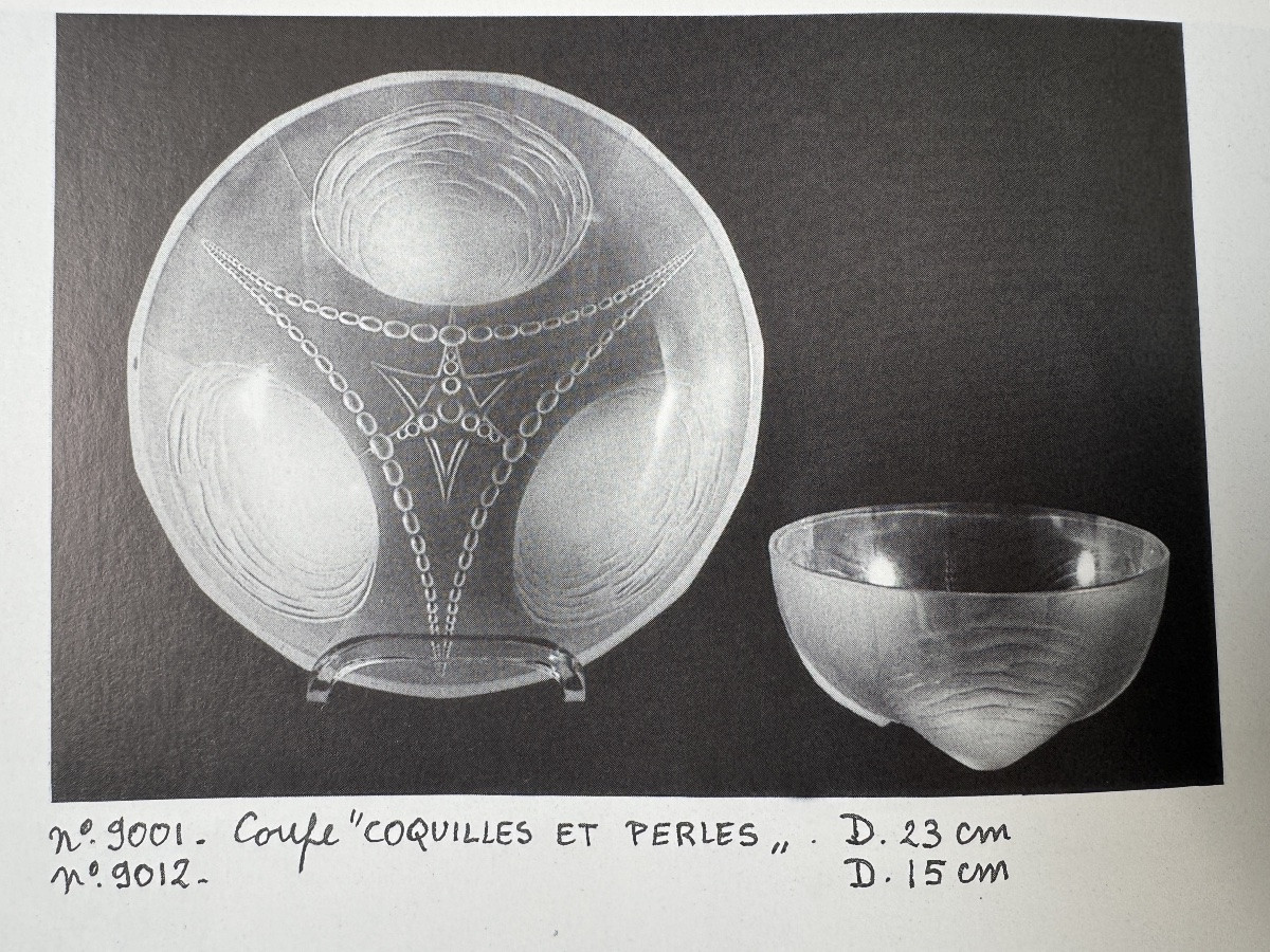 Sabino - Cup “ Shells And Pearls“-photo-6