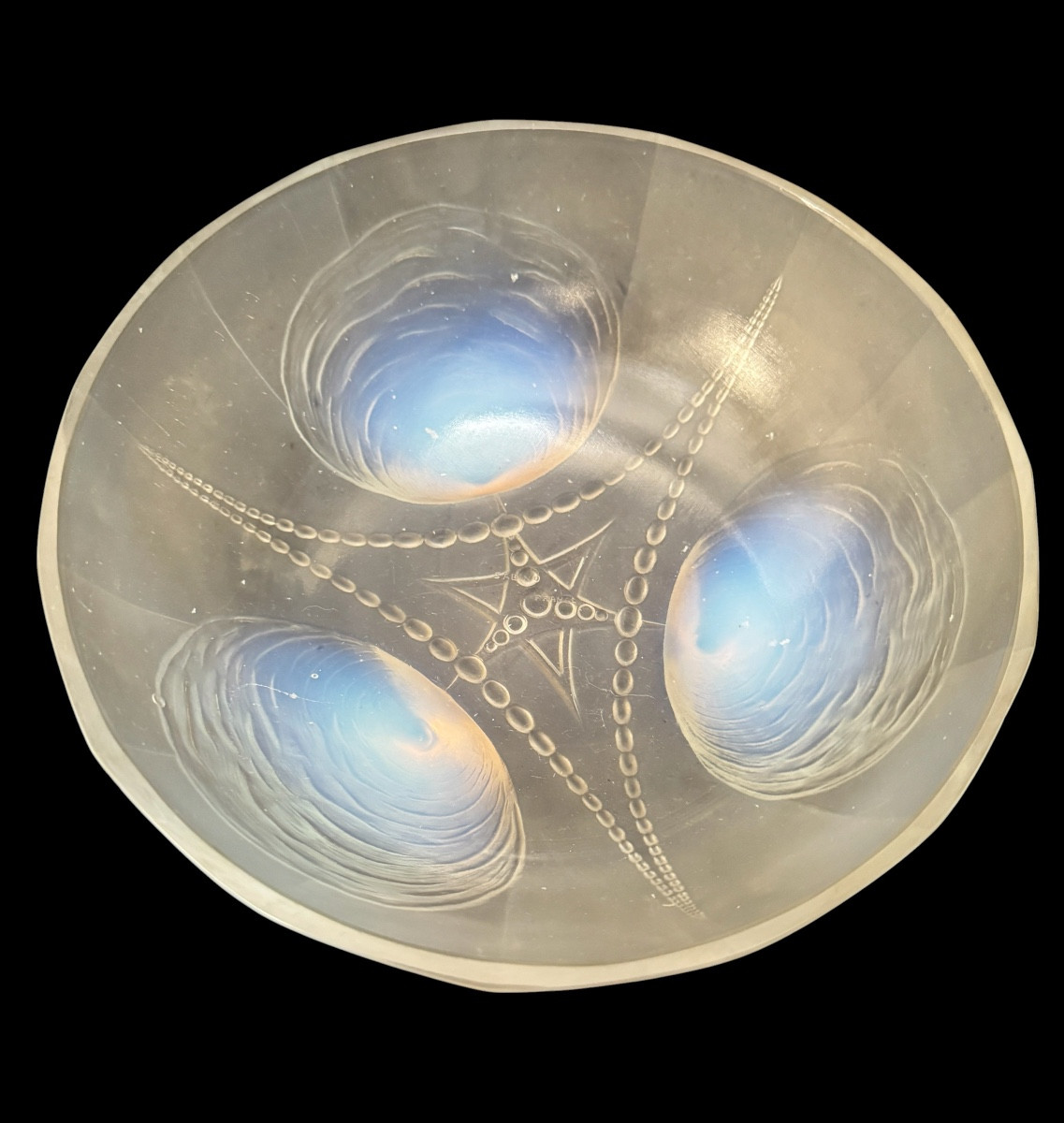 Sabino - Cup “ Shells And Pearls“