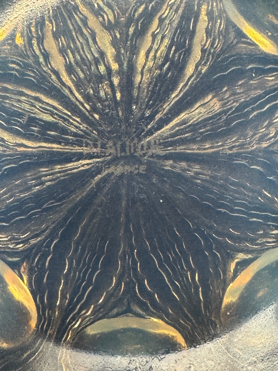 R. Lalique - Coupe «BULBES N° 2»-photo-4