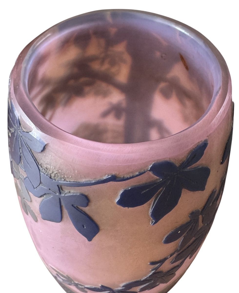 De Vez - Vase en camée  à décor de paysage lacustre.-photo-6