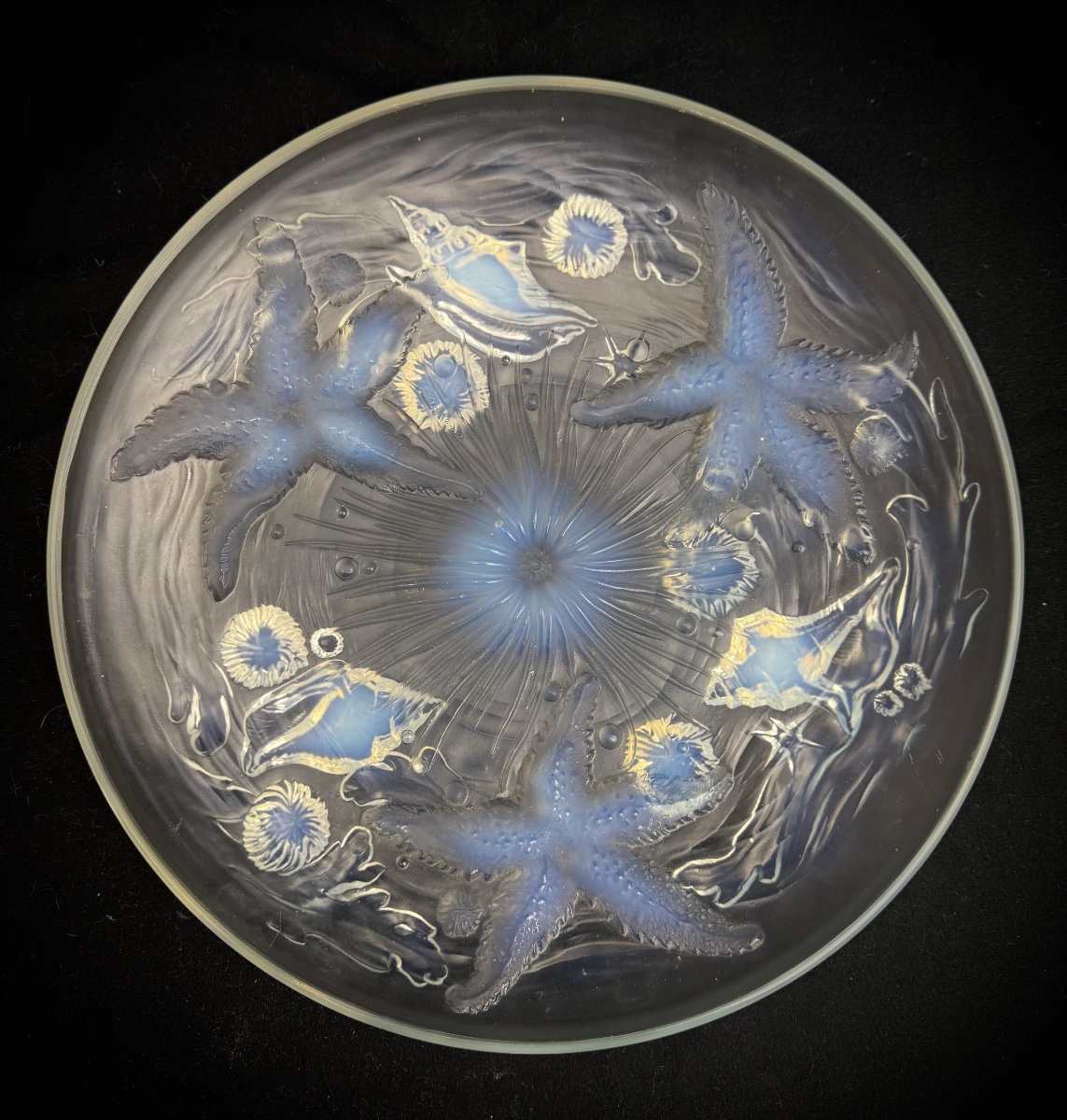 Verlys - "les étoiles De Mer" Opalescent Cup-photo-4