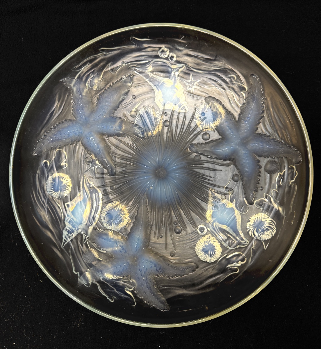 Verlys - "les étoiles De Mer" Opalescent Cup