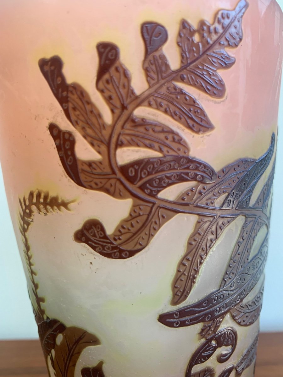 Gallé, Vase With Ferns-photo-2