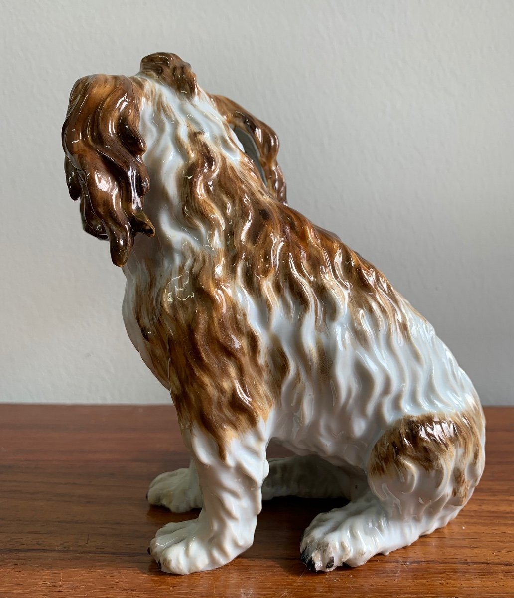 Meissen - Chien En Porcelaine « Bologneser Hund »-photo-2