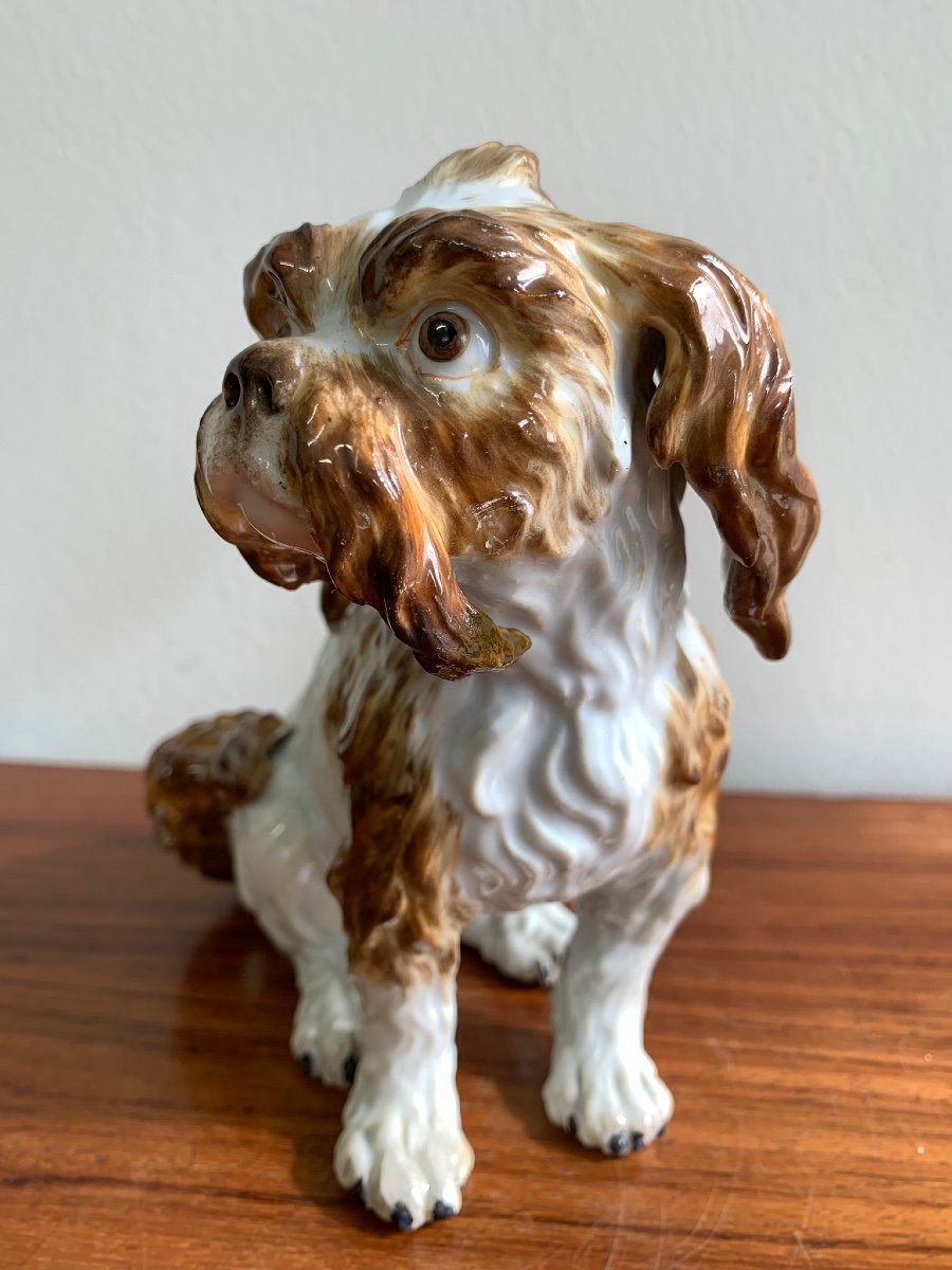 Meissen - Chien En Porcelaine « Bologneser Hund »-photo-2