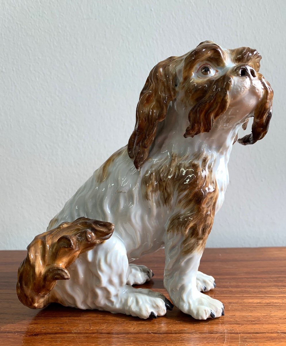 Meissen - Chien En Porcelaine « Bologneser Hund »