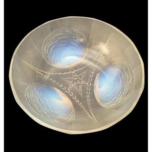 Sabino - Coupe "COQUILLES ET PERLES"