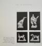 1783749-alb-6a3bc51fbf233.jpg