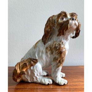 Meissen - Chien En Porcelaine « Bologneser Hund »