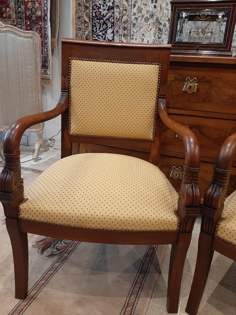 Paire De Fauteuils Têtes De Dauphin En Acajou Blond -  Début XIXème-photo-2