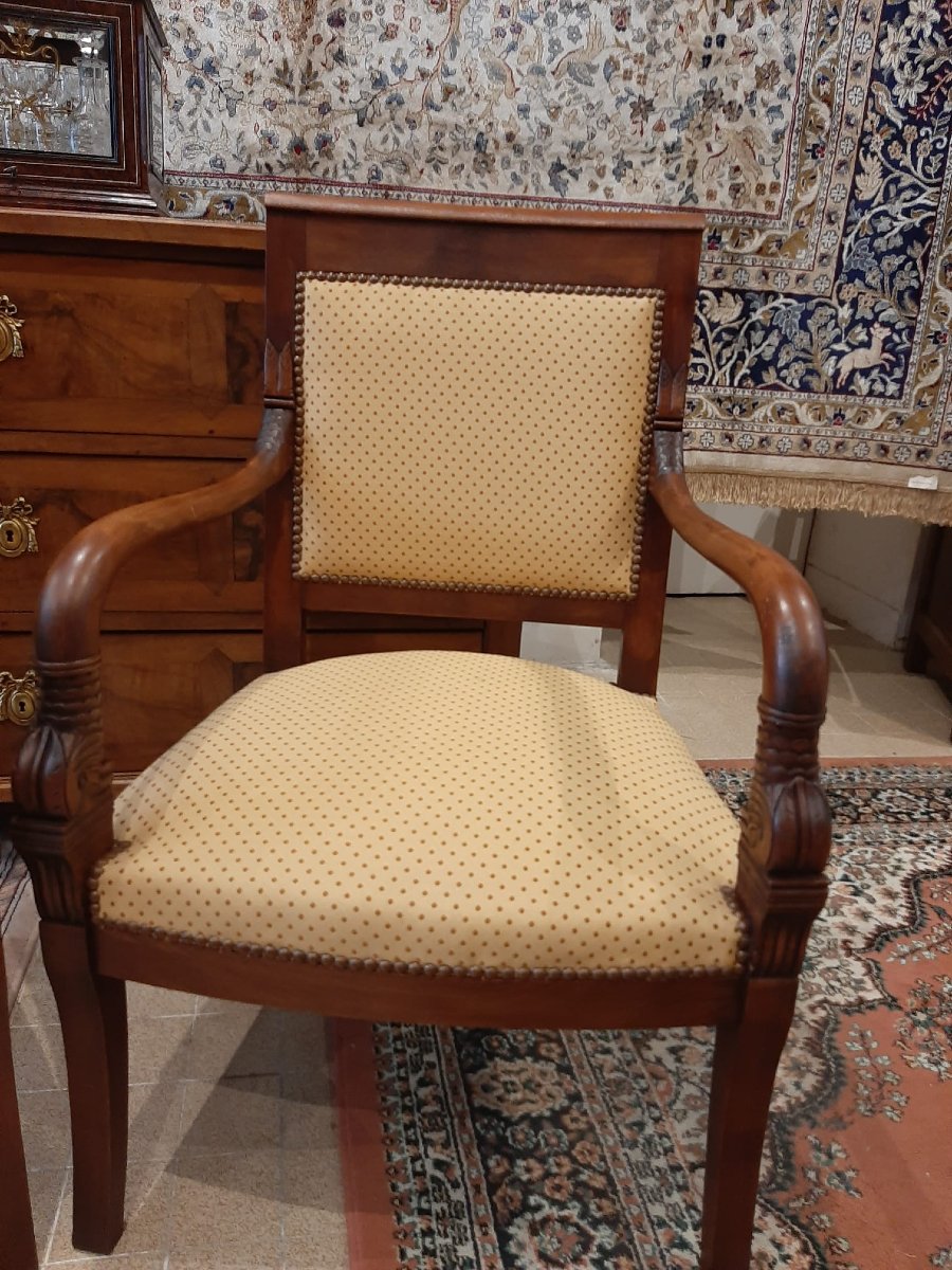 Paire De Fauteuils Têtes De Dauphin En Acajou Blond -  Début XIXème-photo-3