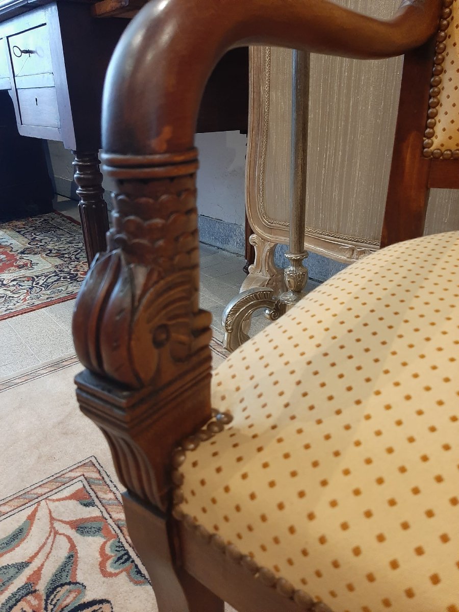 Paire De Fauteuils Têtes De Dauphin En Acajou Blond -  Début XIXème-photo-1