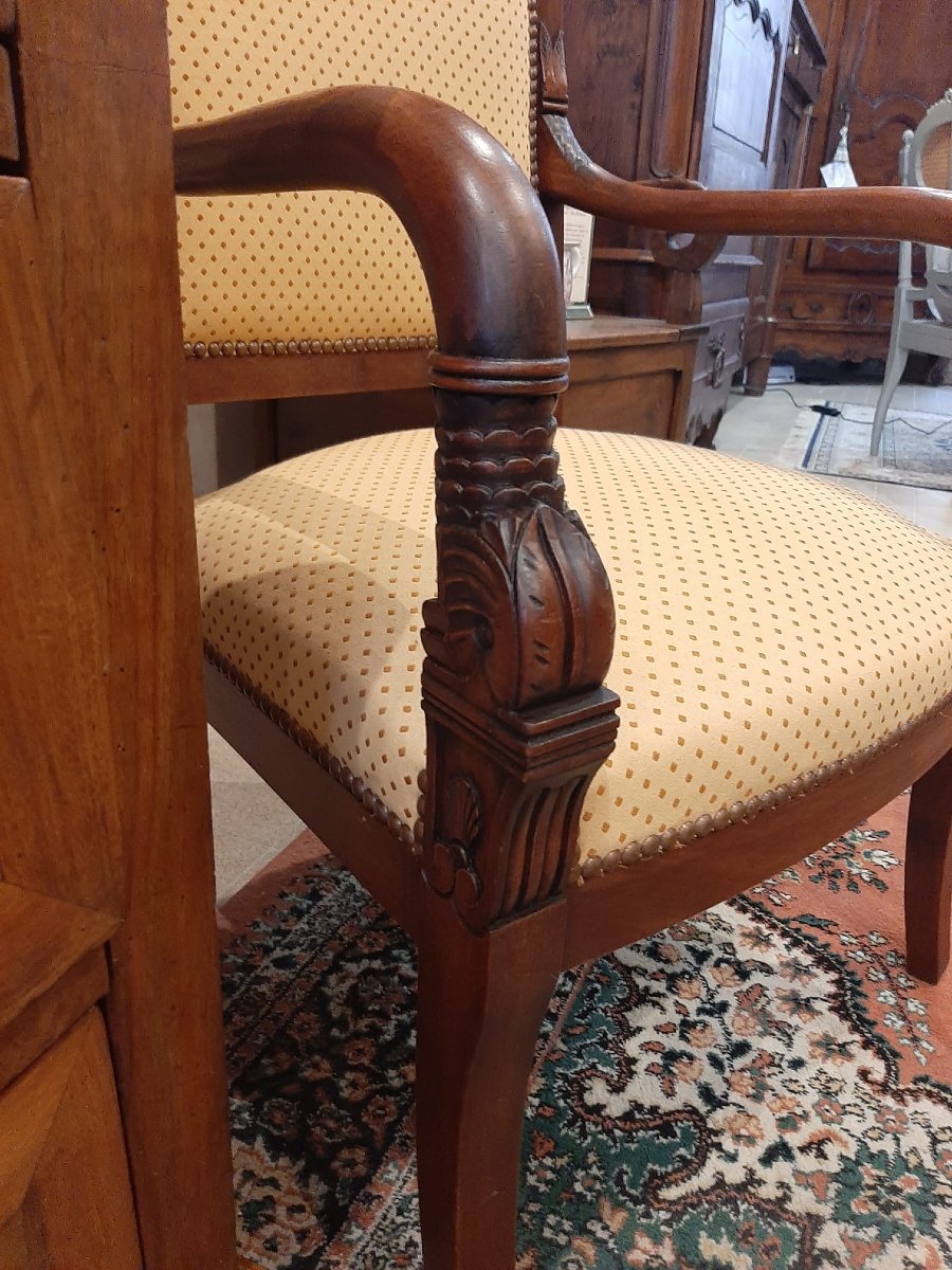 Paire De Fauteuils Têtes De Dauphin En Acajou Blond -  Début XIXème-photo-4