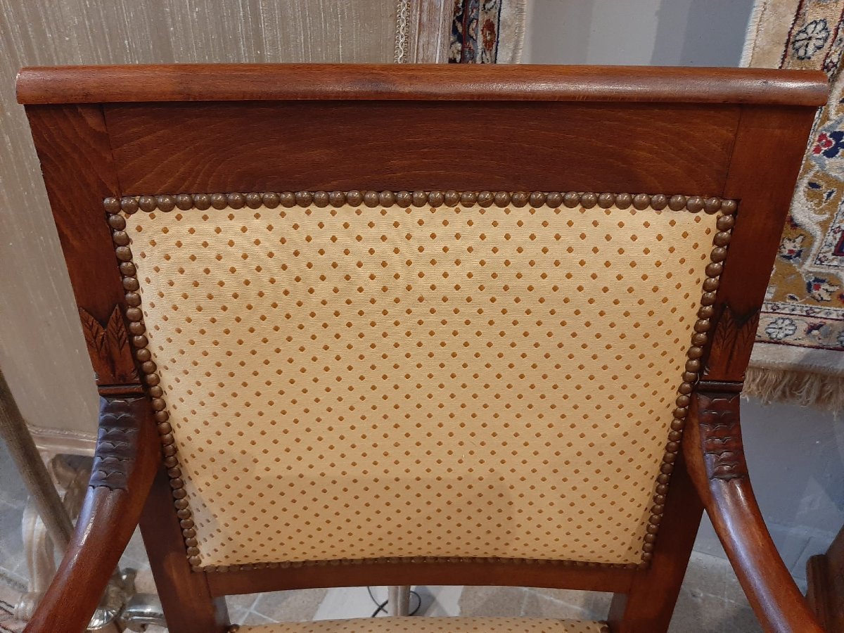 Paire De Fauteuils Têtes De Dauphin En Acajou Blond -  Début XIXème-photo-6