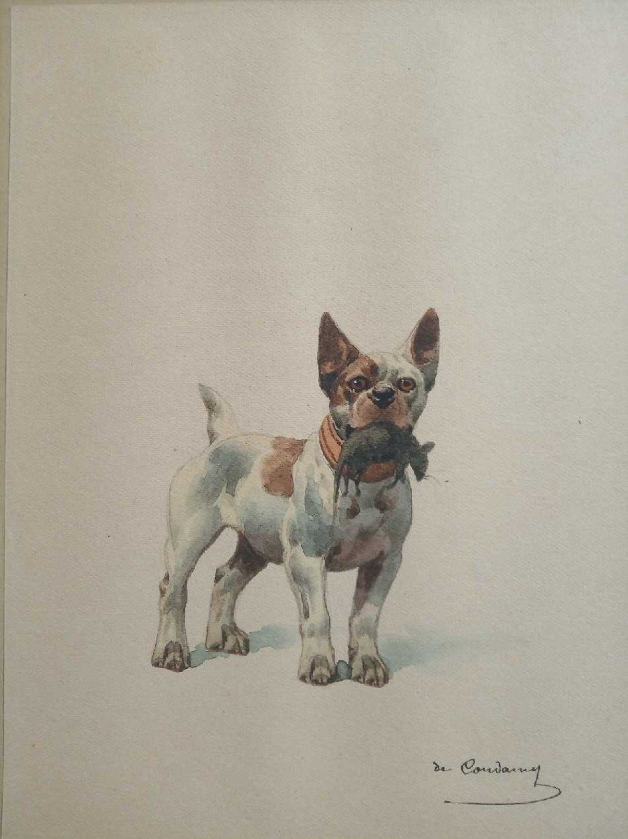 2 Watercolors By Charles De Condamy. Dog Attitudes-photo-3