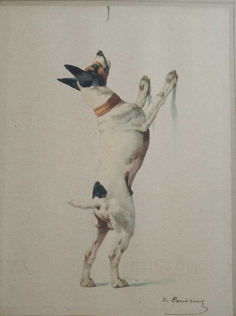 2 Watercolors By Charles De Condamy. Dog Attitudes-photo-2