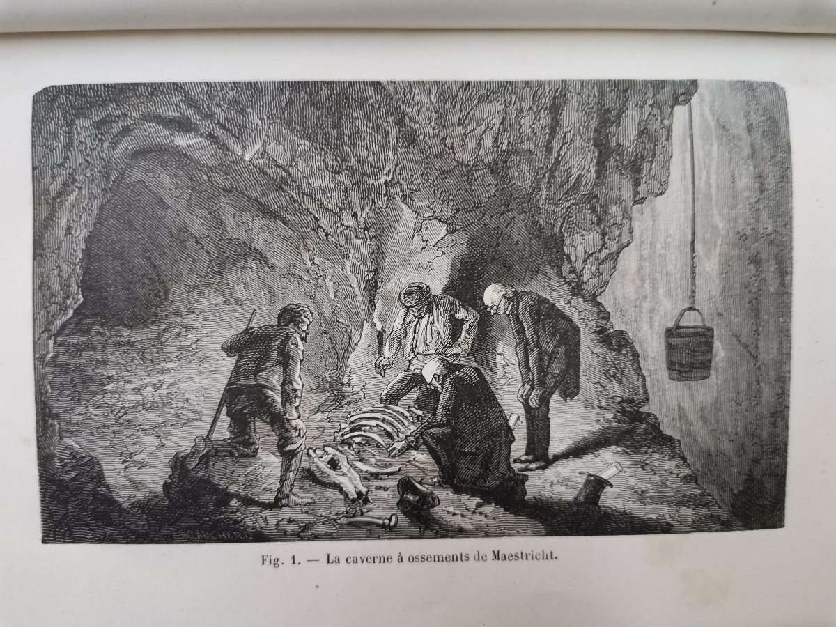 Library Of Wonders. 8 Scientific Books, Mid-19th Century -photo-2