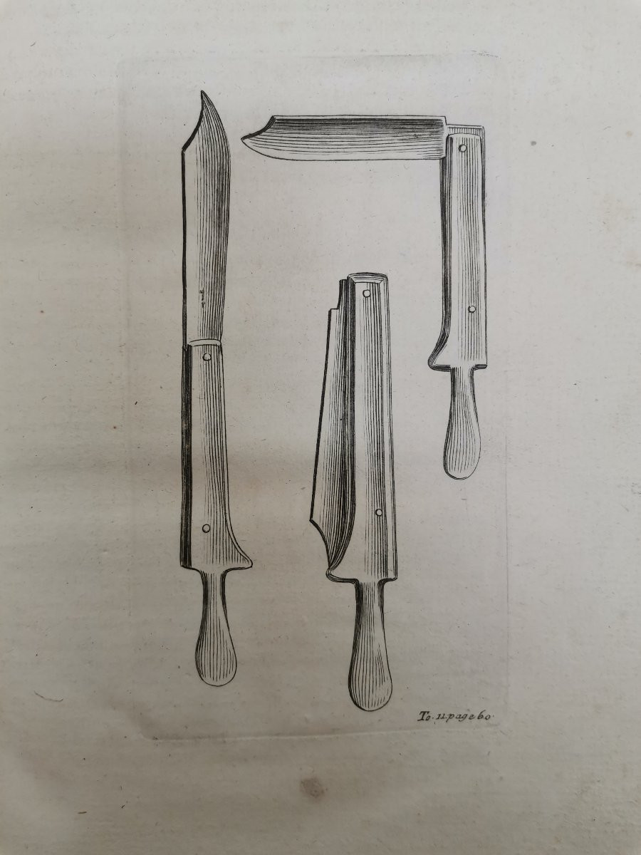 Fruit And Vegetable Gardens. De La Quintinie 1730 -photo-4