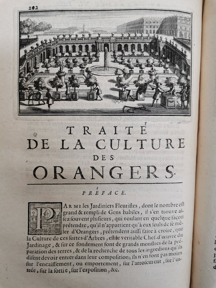 Fruit And Vegetable Gardens. De La Quintinie 1730 -photo-1