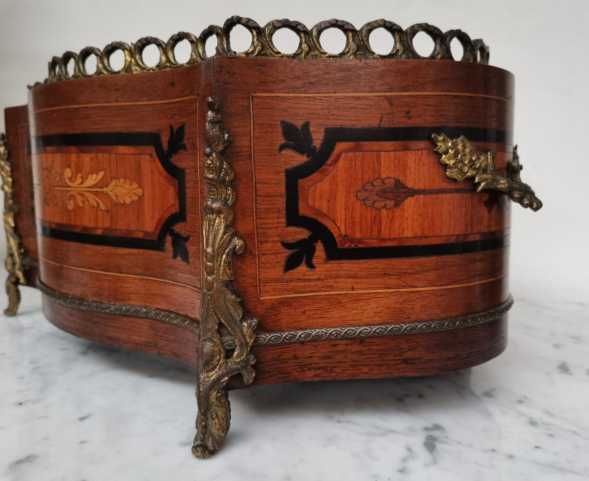 Napoleon III Marquetry Planter-photo-3