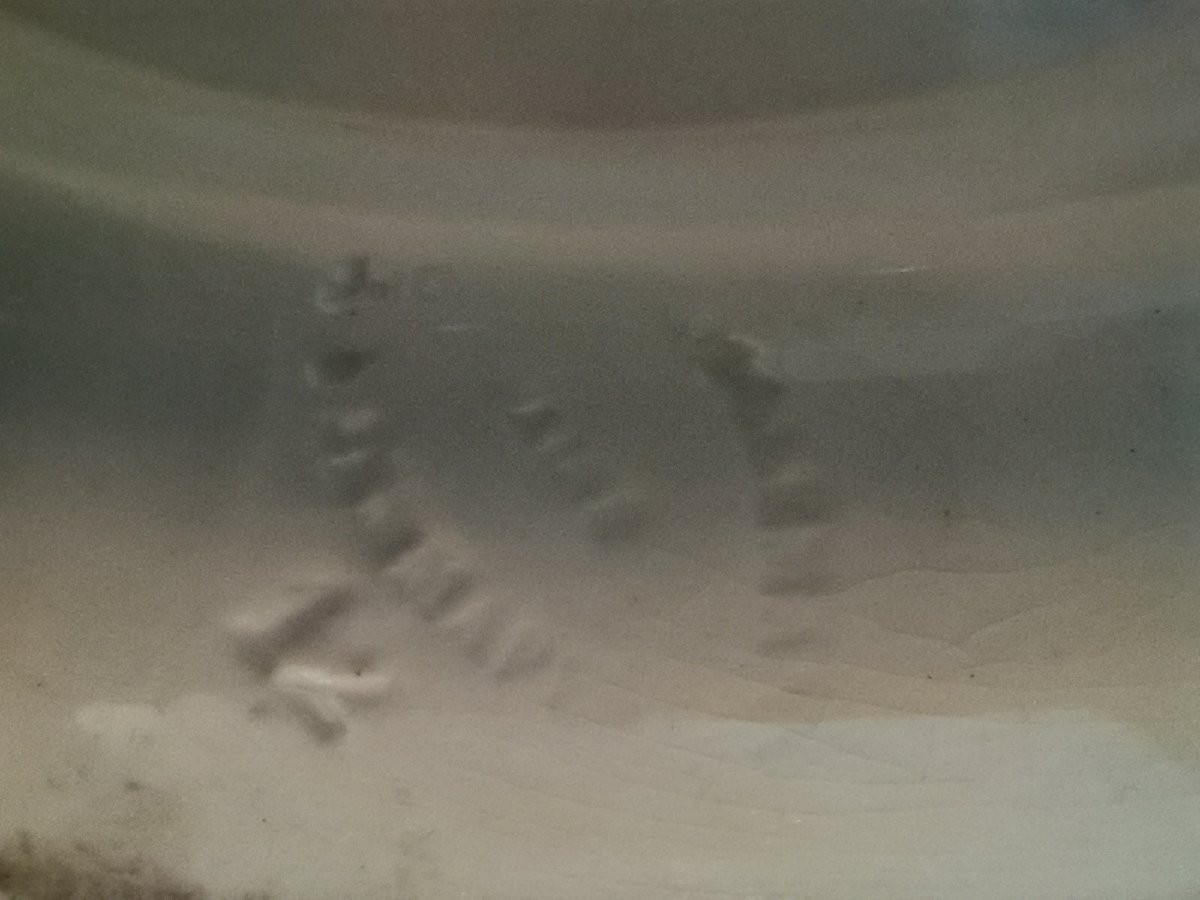 Jemmapes Earthenware Tureen -photo-6