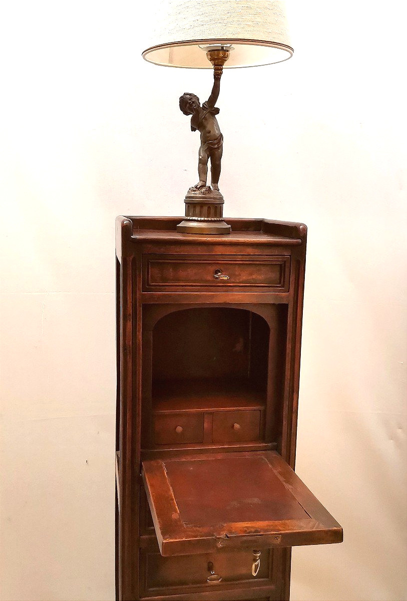 atypique petit secrétaire