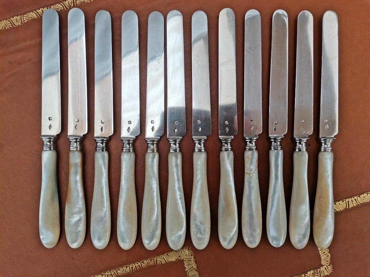 12 couteaux à dessert argent et nacre 