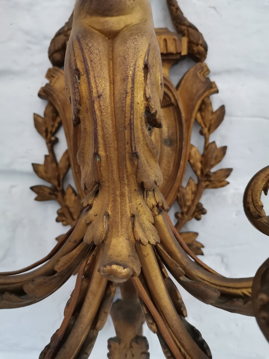 Applique murale en bronze doré Louis XVI -photo-4