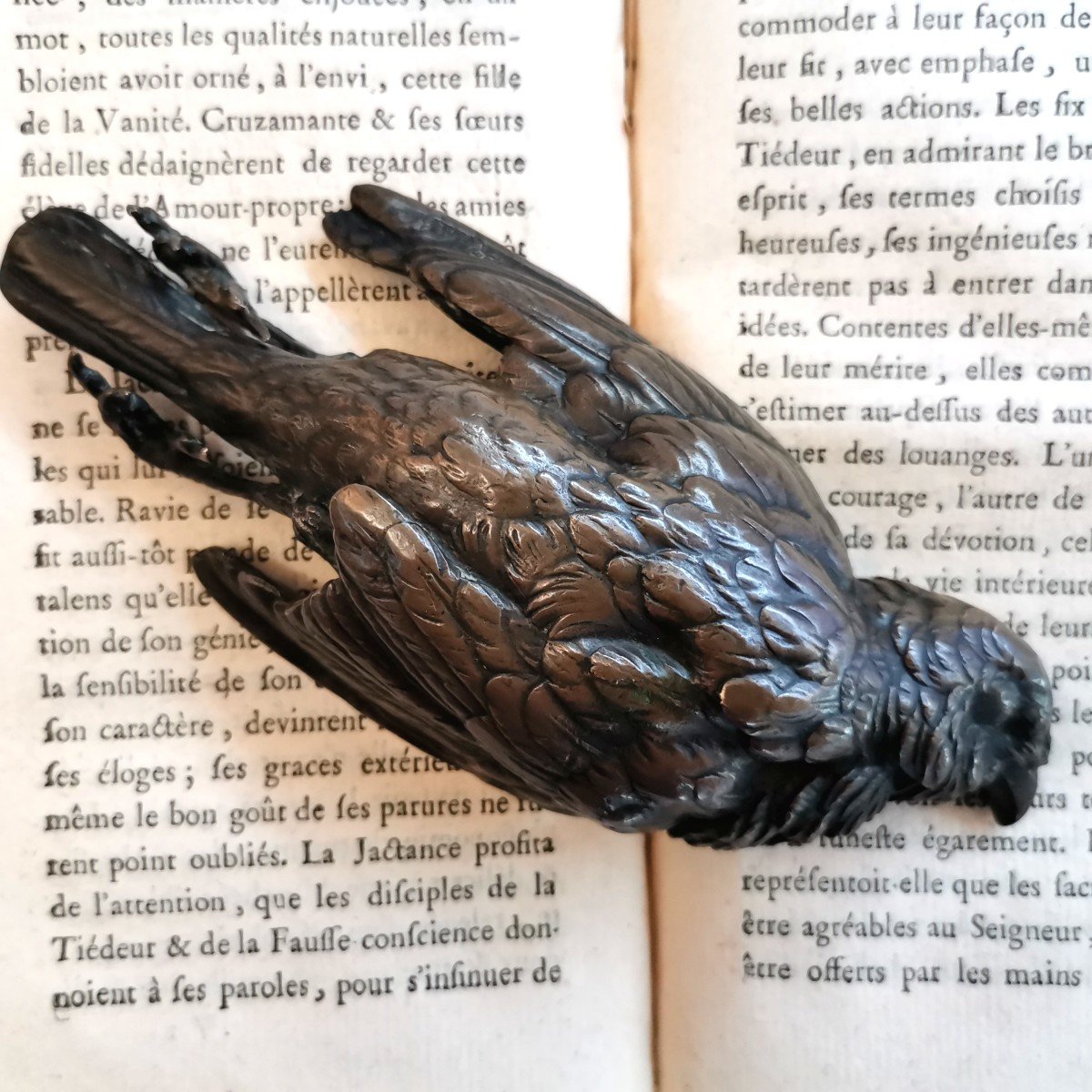 Bronze Paperweight Bird