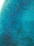 1620902-68d3b915dd192.jpg