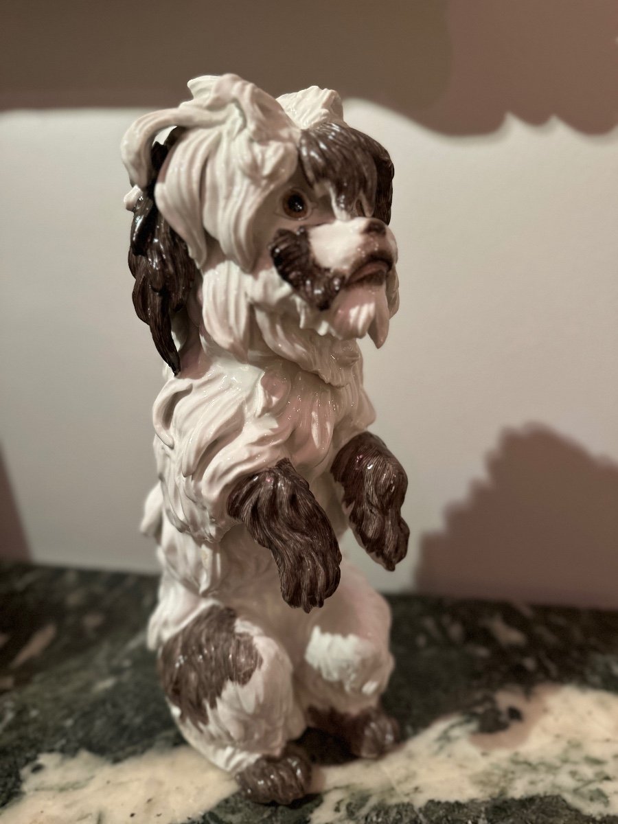 Samson Porcelain Bolognese Dog. -photo-3