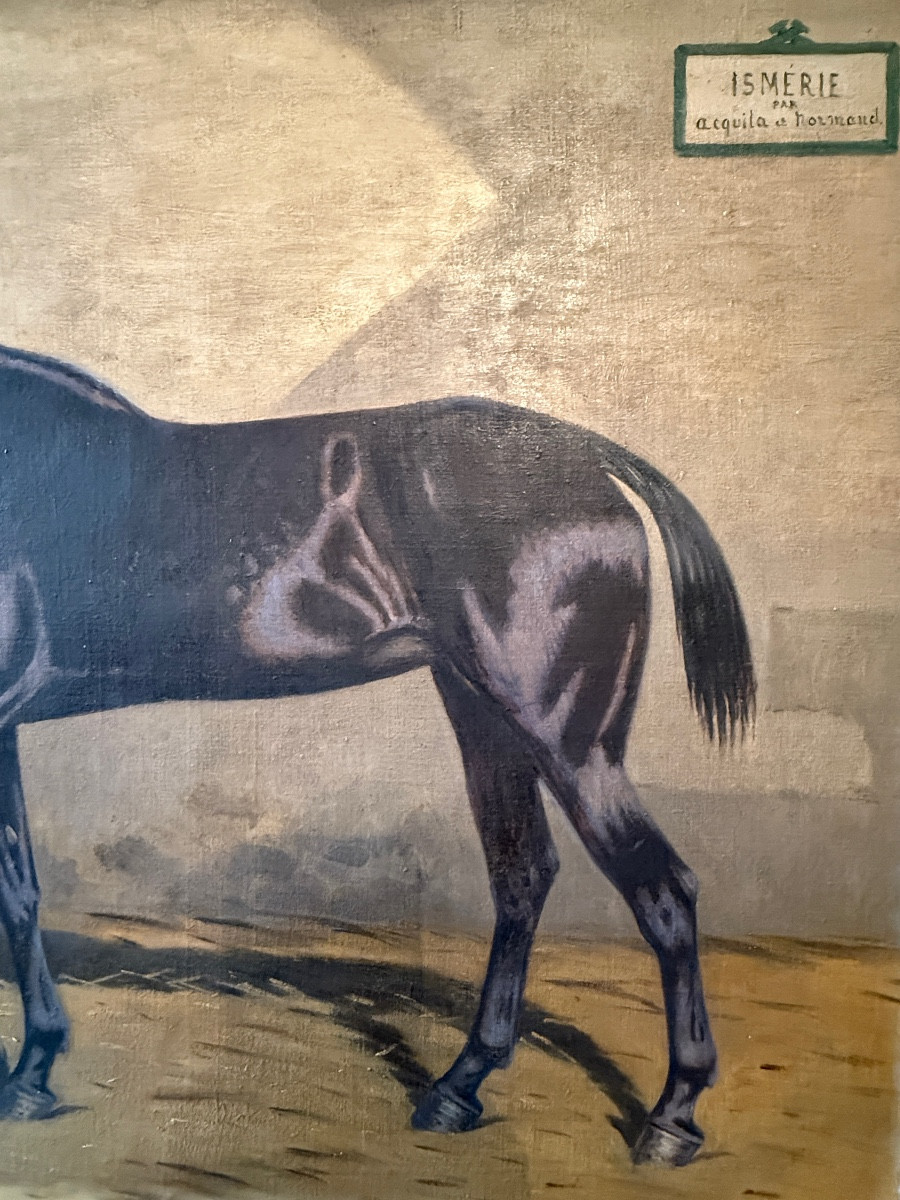 Paul Le More. Portrait Of A Horse. Oil On Canvas, 19th Century. -photo-3