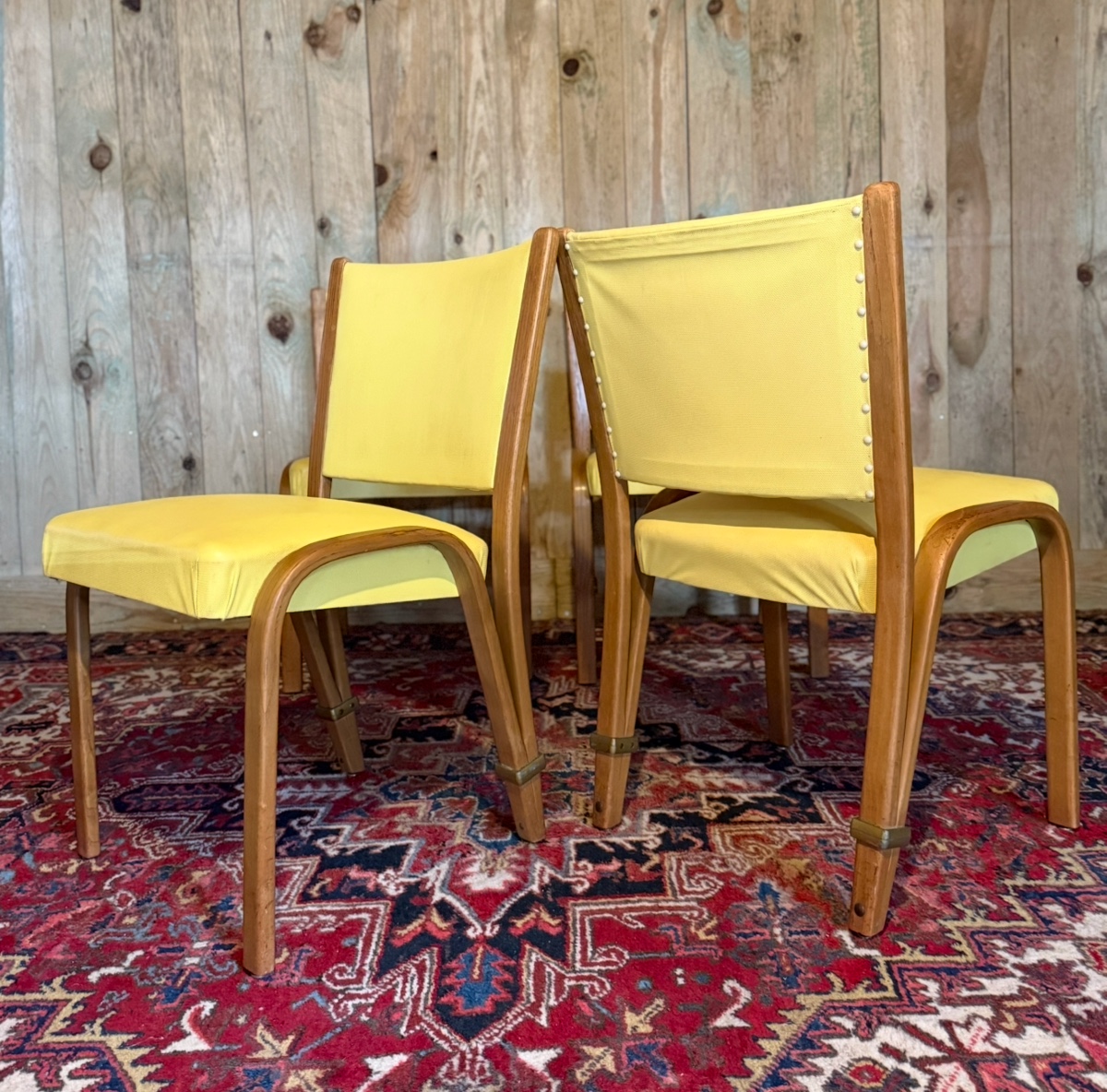 STEINER " Bow wood".  Suite de quatre chaises en frêne courbé. -photo-2