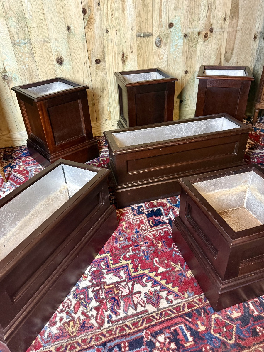 Set Of Seven Mahogany Planters. -photo-4