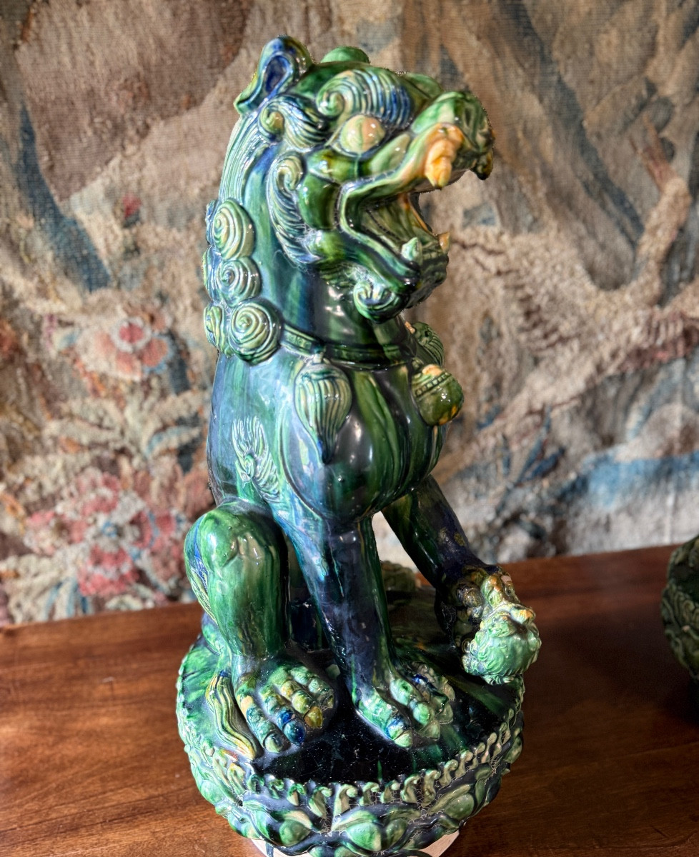 Paire de grands chiens de FÔ Chinois. -photo-4