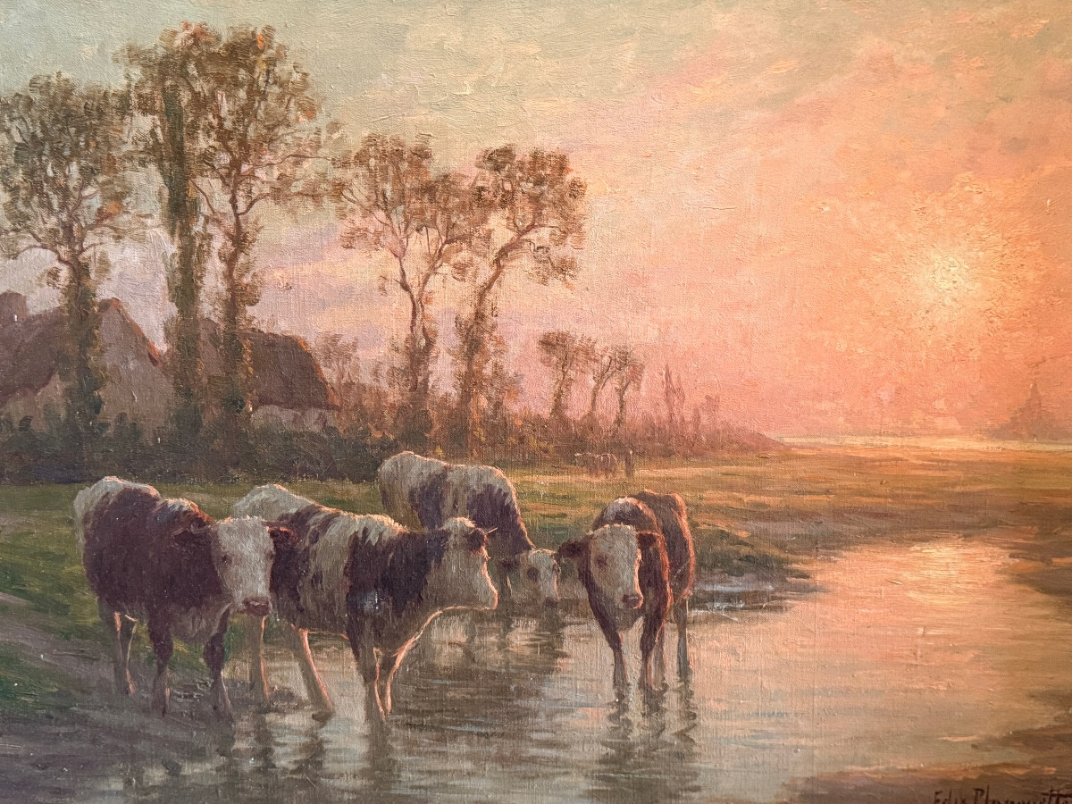 Félix Planquette.  Cows In The Bay Of Mont Saint Michel.-photo-3