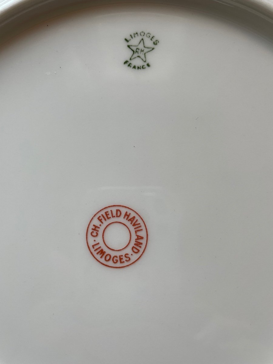 Porcelain Service Ch.field Haviland. Porcelain From Limoges. Design '1970-photo-4