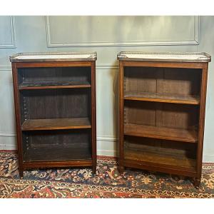 Pair Of Louis XVI Style Bibus / Bookcases In Mahogany. 