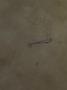 1618771-alb-68ce789d08713.jpg