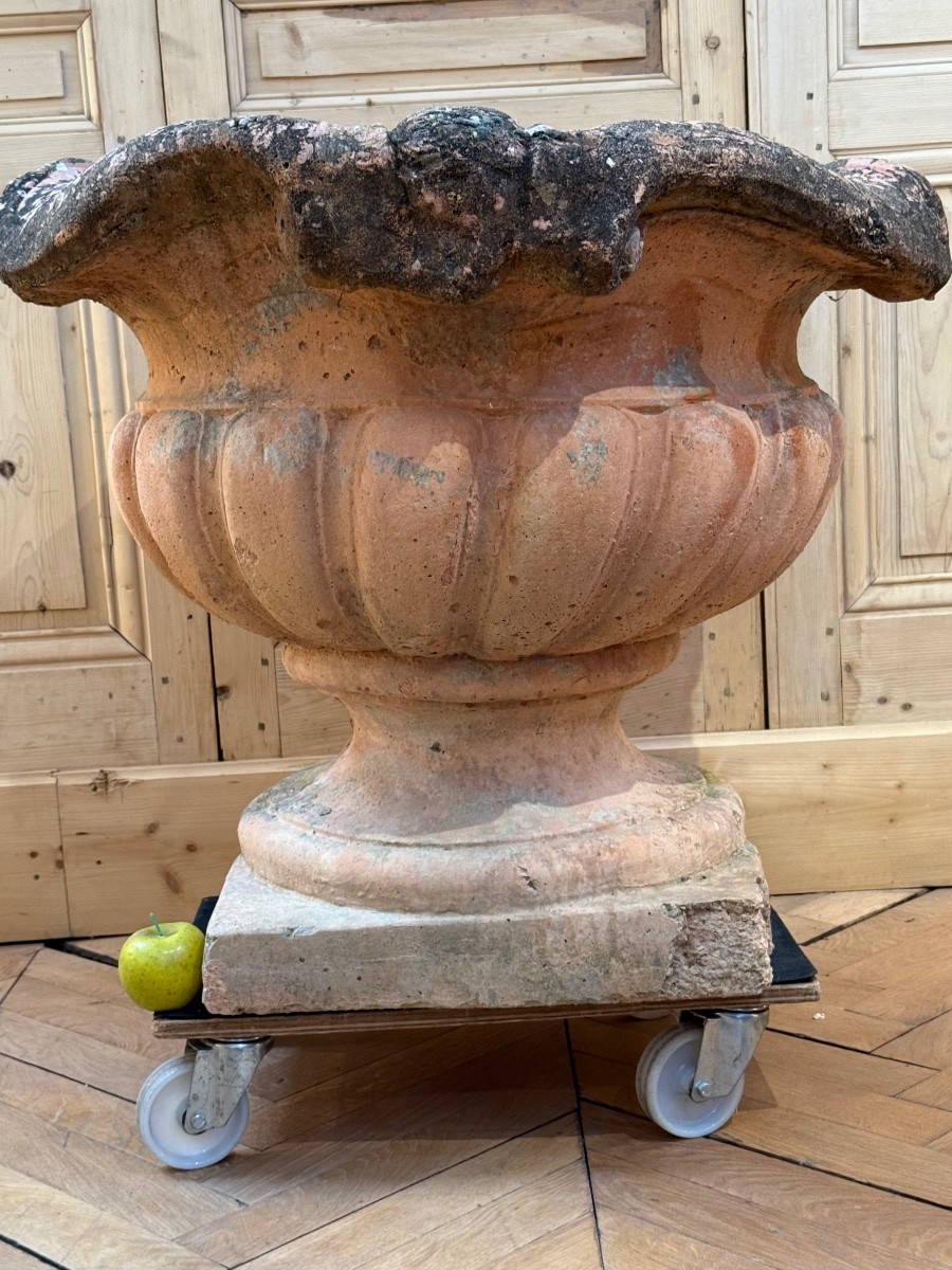 importante paire de cache pot XIX ieme en terre cuite -photo-2