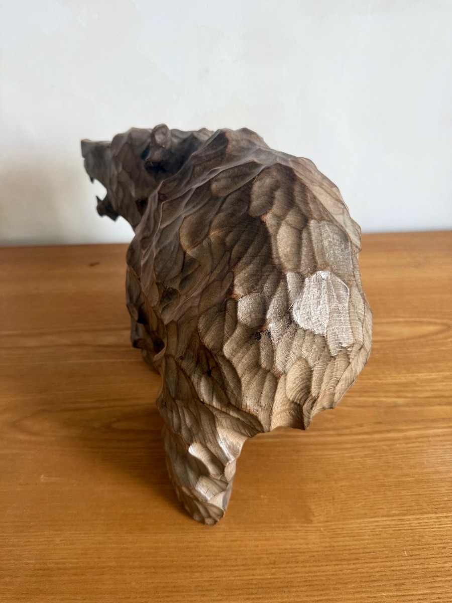 Bear Hokkaido Japan-photo-4