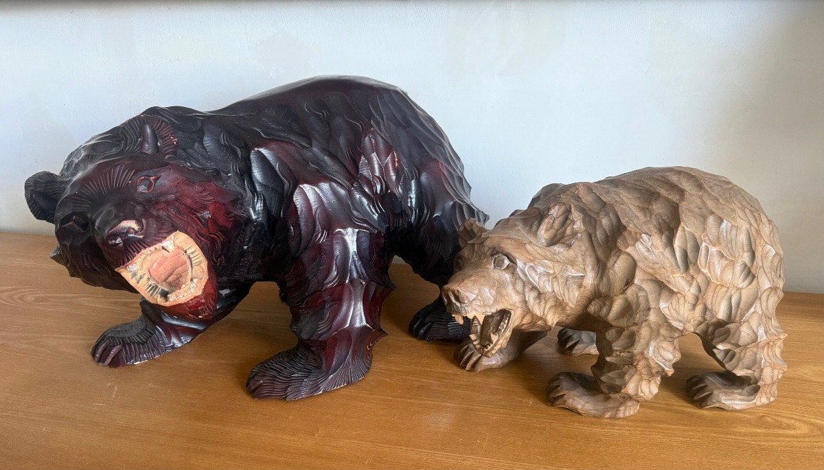 Bear Hokkaido Japan-photo-4