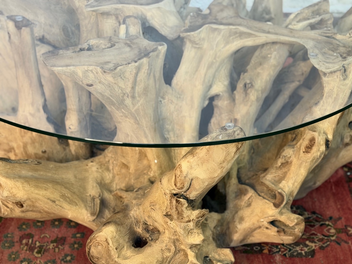 Large Teak Root Coffee Table-photo-3