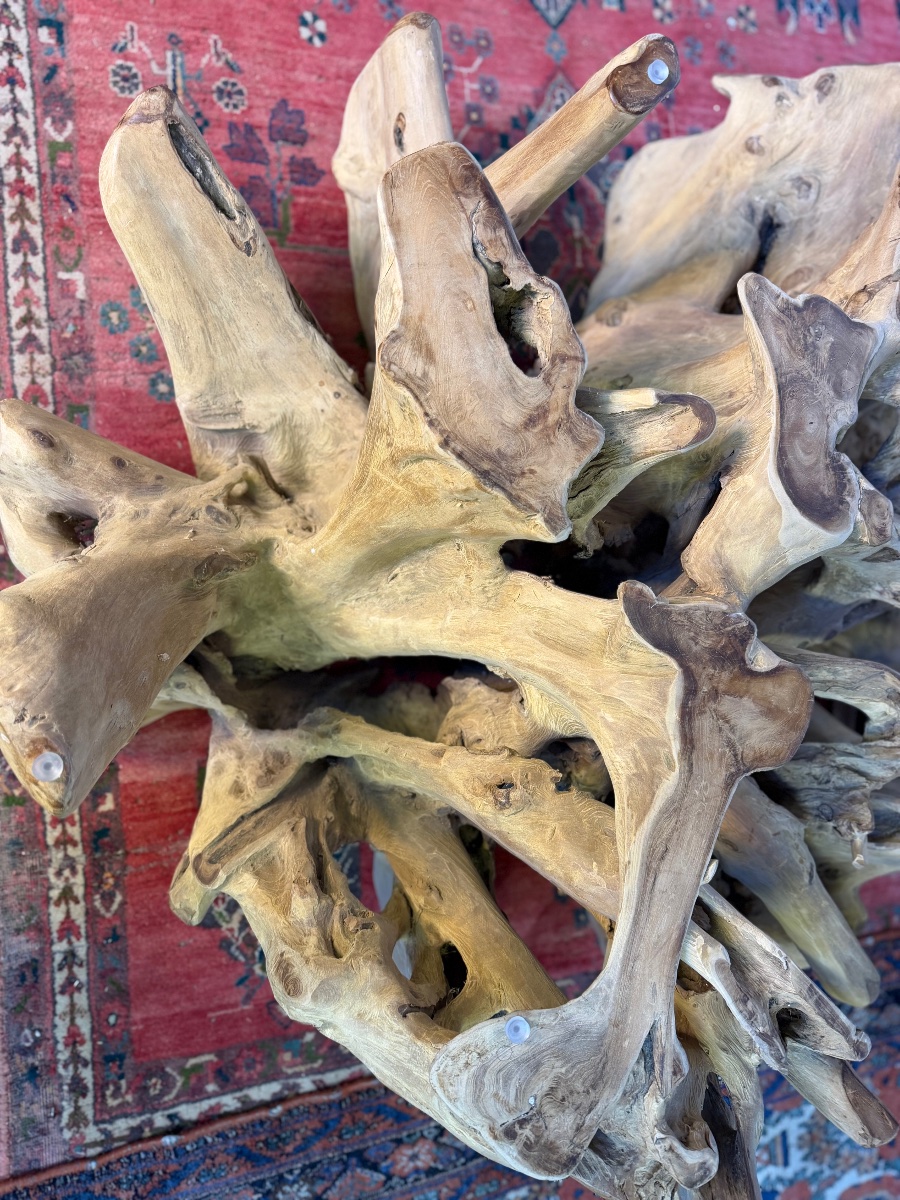 Large Teak Root Coffee Table-photo-3