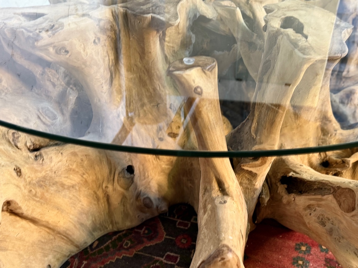 Large Teak Root Coffee Table-photo-4